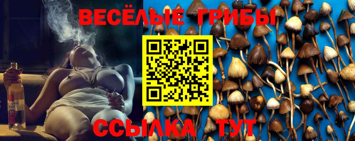 Галлюциногенные грибы GOLDEN TEACHER Саранск